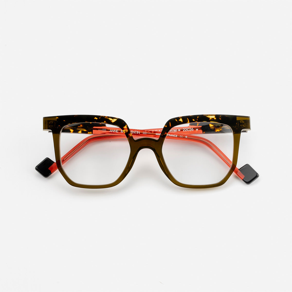 Anne & Valentin | Logarithm / Olive / Tortoise