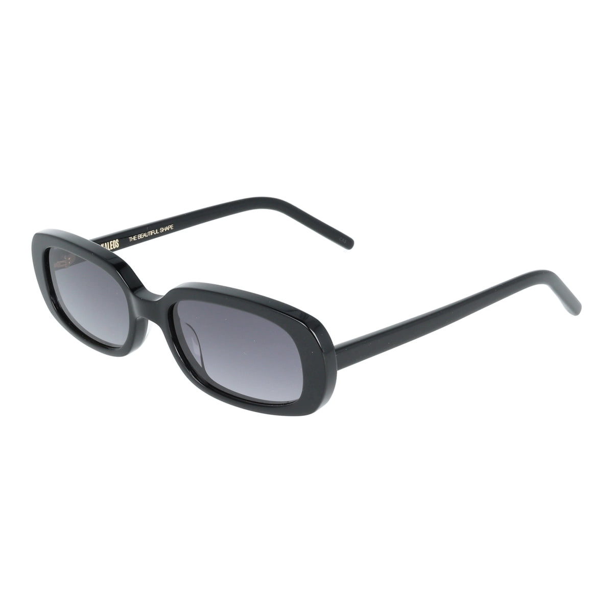 Kaleos | Stirling occhiali sole donna Nero