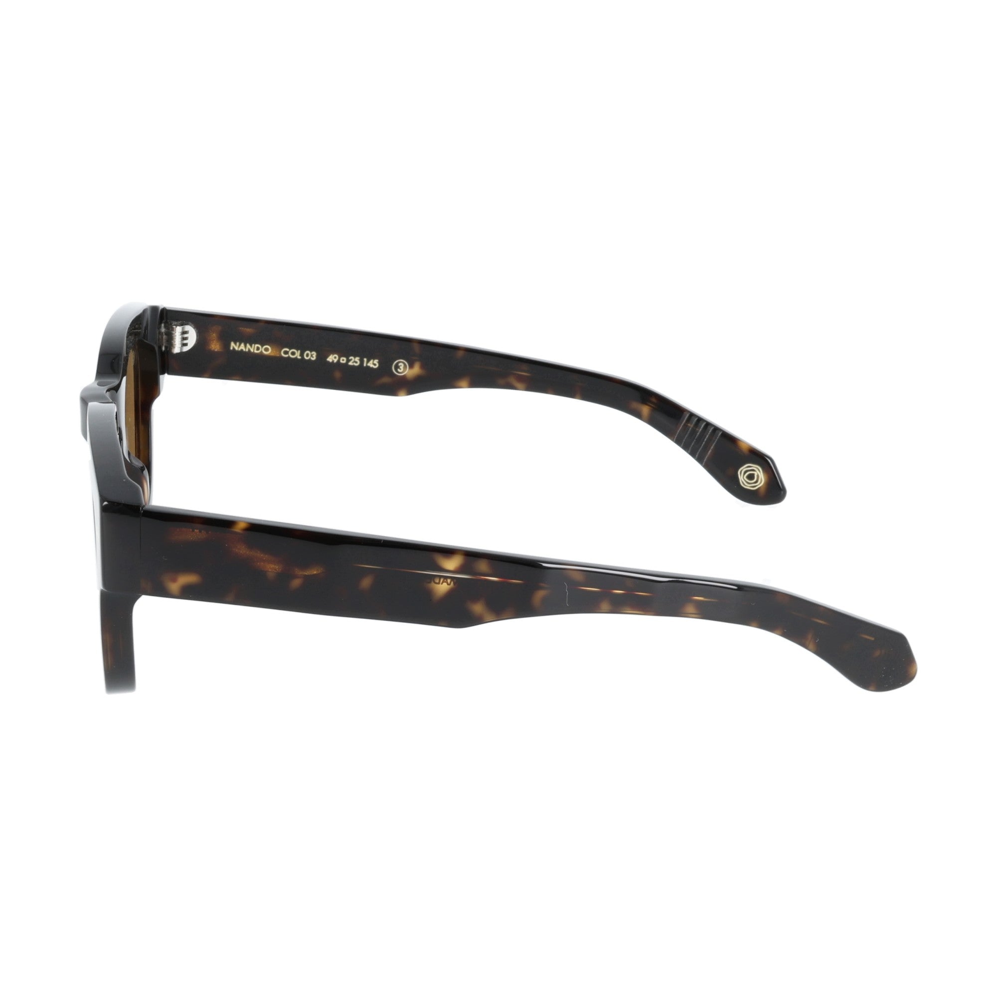 Kyme NANDO occhiali da sole da uomo havana pantos