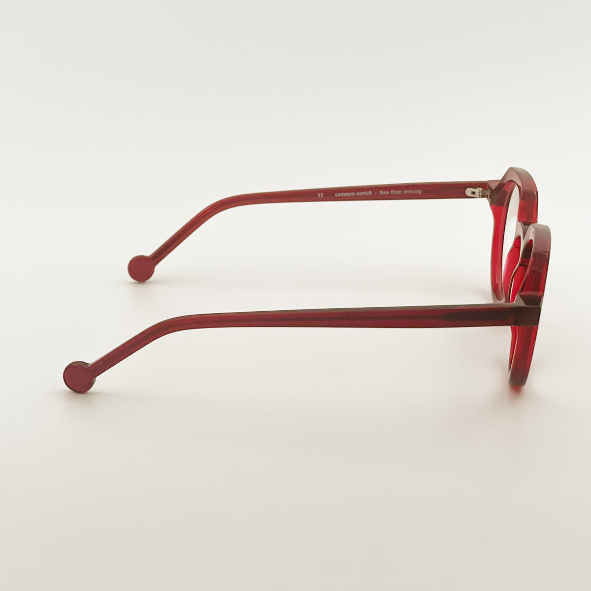 Theo Eyewear Occhiali da vista unisex Common Ostrich rosso